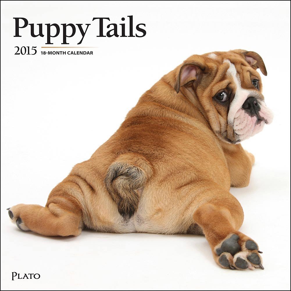 Puppy Tails