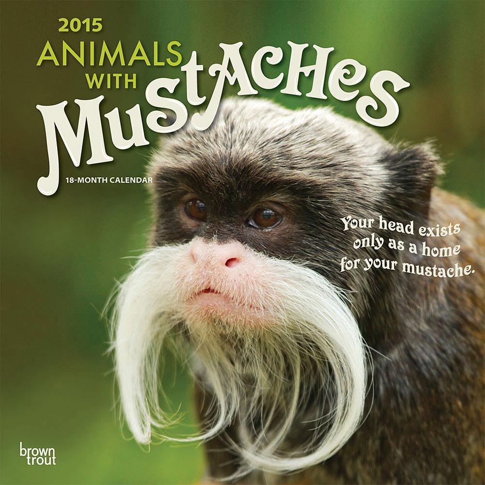 Animals with mustaches