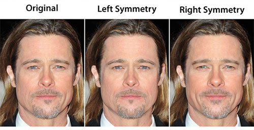 Brad Pitt's perfect face