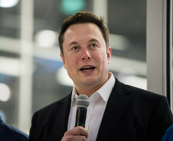 Should Elon Musk Buy Twitter?