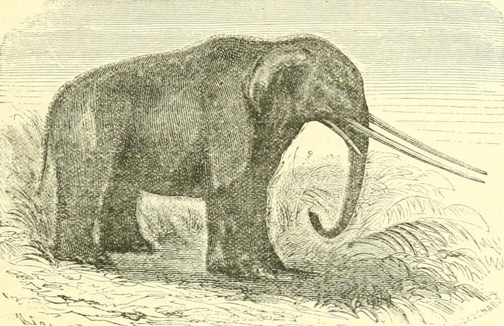 Why Mastodon Search Seems So Unclear