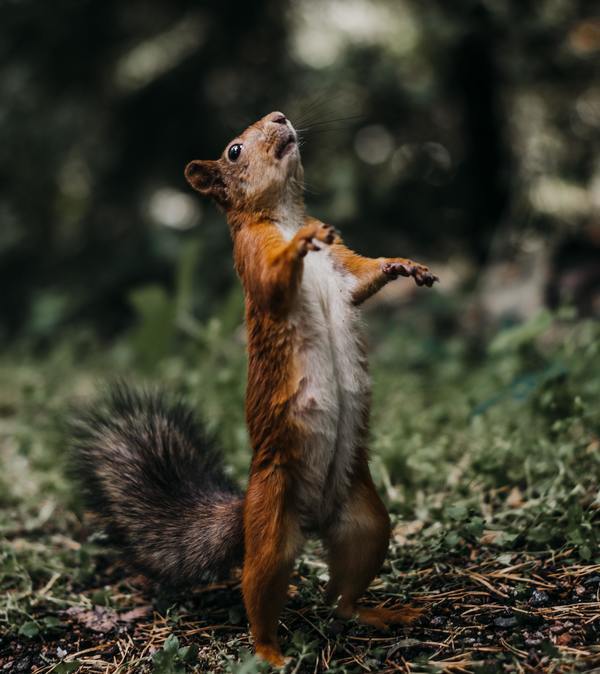 Demi felicia vares C Mqw9h Q cw8 unsplash